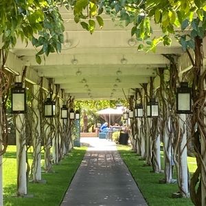 Meet your Posher, Bella